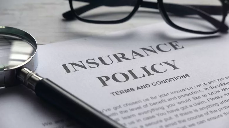 Hurricane Insurance Readiness for Restorers Starts Now!