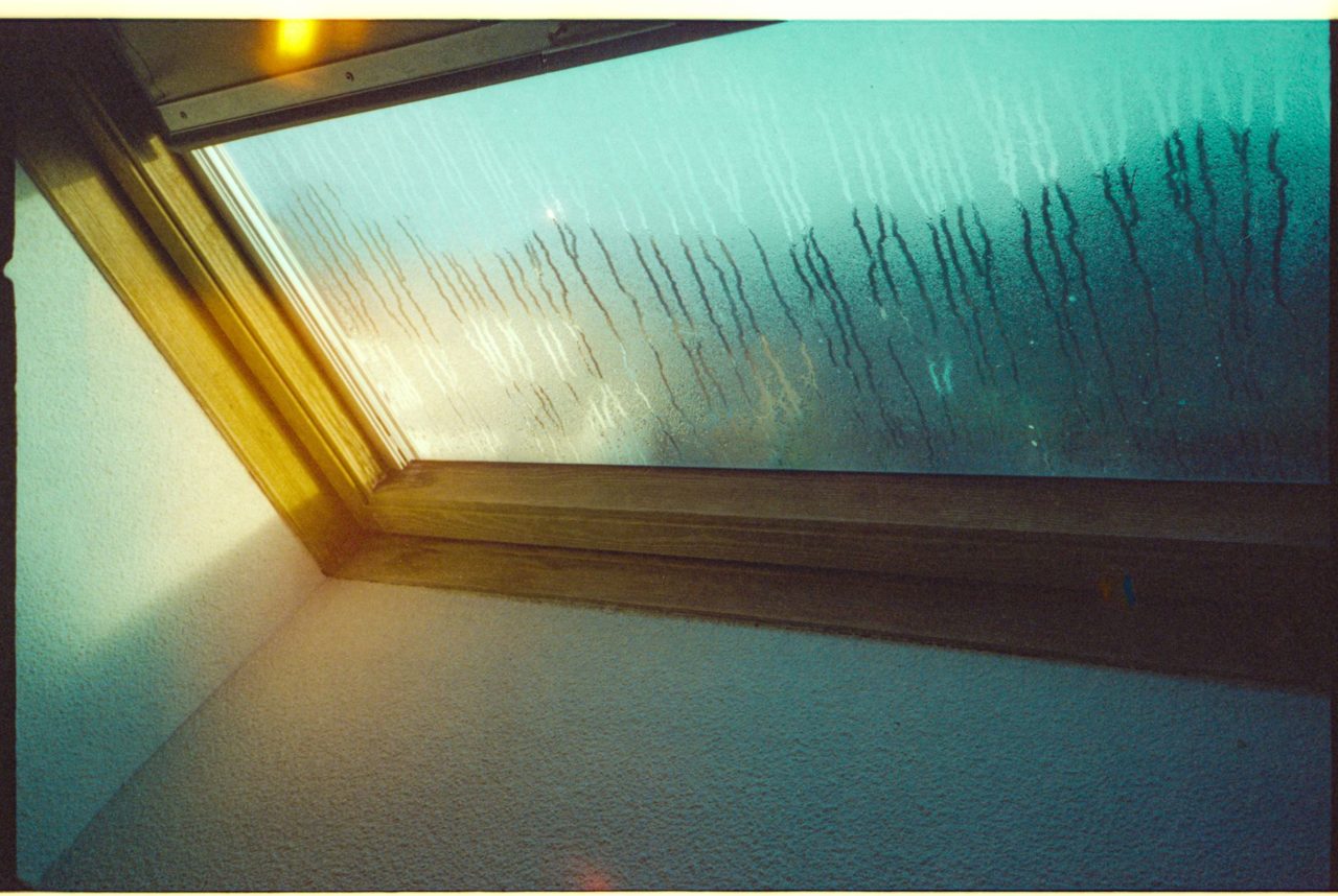 Emergency Guide: How to Respond to Ceiling Water Leaks in LA