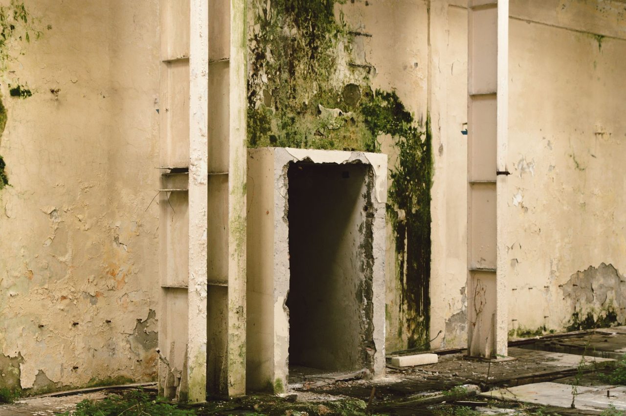 Winter Property Emergencies: How Water, Fire & Mold Restoration Services Protect Your Home and Business