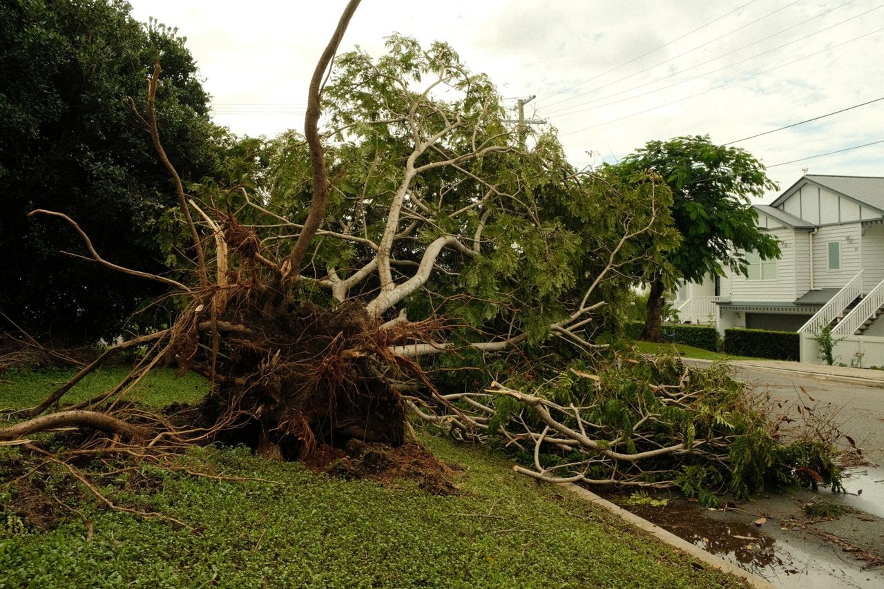 The Landlord's Dilemma: How Restorers Can Help Navigate Storm Recovery Challenges