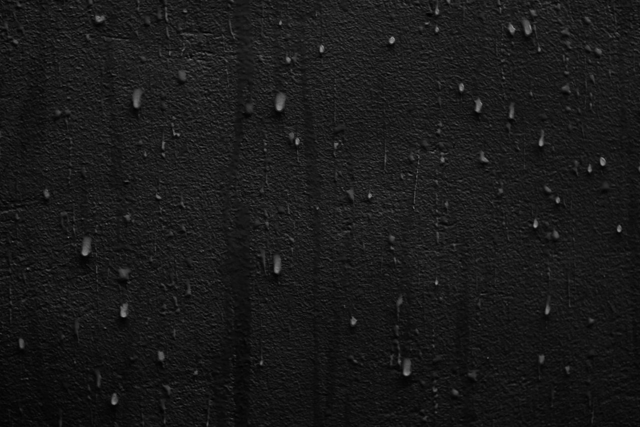 South Florida Mold Remediation Specialists Offer Safe Solutions for Homes and Businesses - EIN News