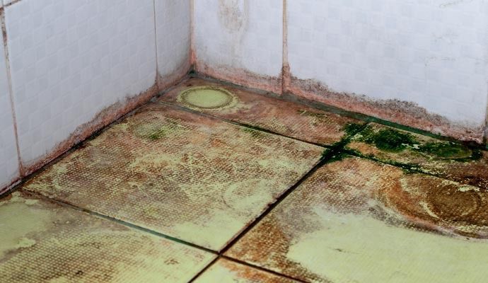 Tile and Stone Water Damage Restoration in Orange County — DKI Restotech