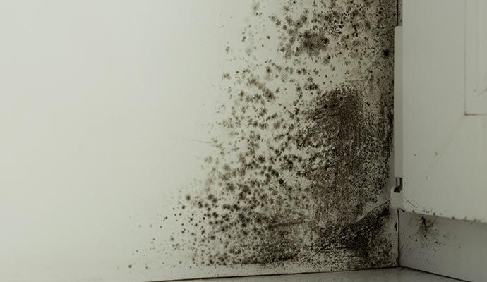Appliance Leak Cleanup & Restoration in Orange County — DKI Restotech