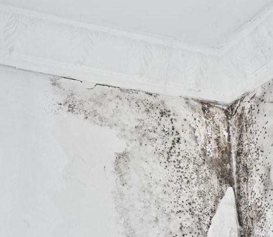 HVAC Discharge Line Leak Damage in Orange County and Los Angeles — DKI Restotech