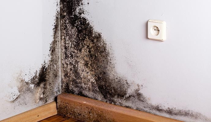 Retail Store or Space Damage Restoration in Los Angeles, CA — DKI Restotech