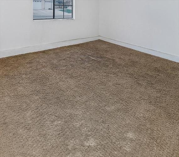 Carpet Water Damage Restoration in Orange County and Los Angeles — DKI Restotech
