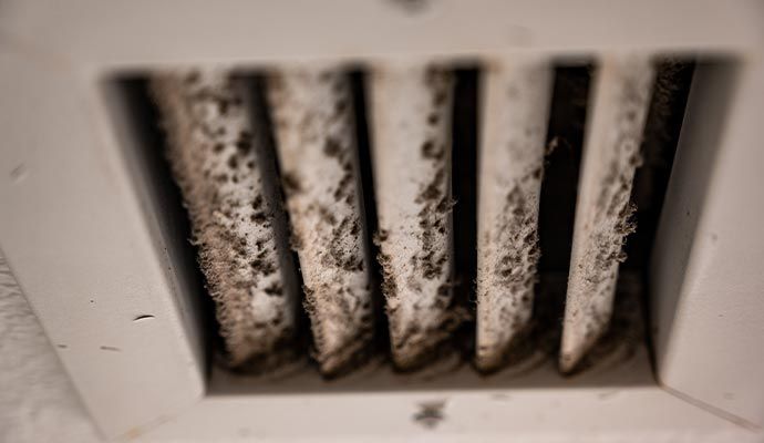 Professional Mold Cleanup and Removal in Orange County — DKI Restotech