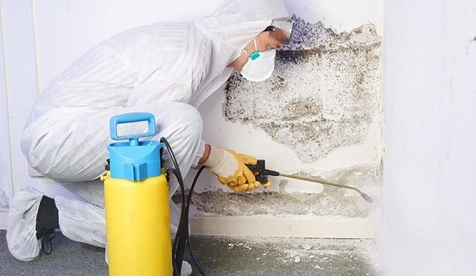 Remediation of Structural Mold in Orange County