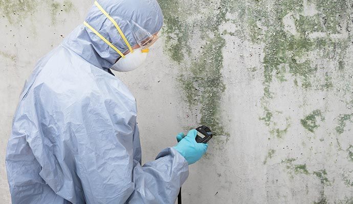 Black Mold Remediation in Orange County and Los Angeles